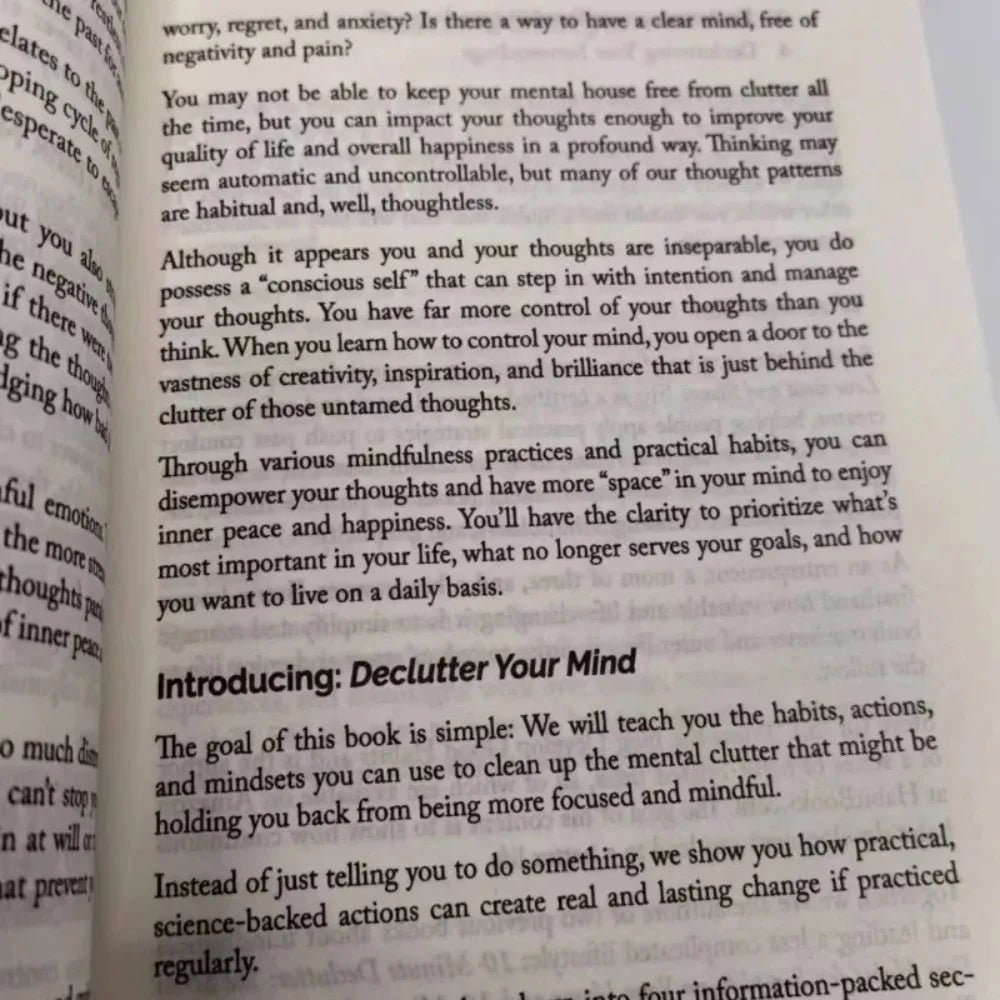 Declutter Your Mind — Book